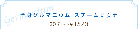 エミ美容室スチームサウナ価格