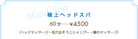 エミ美容室ヘッドスパ価格